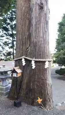 高司神社〜むすびの神の鎮まる社〜(福島県)