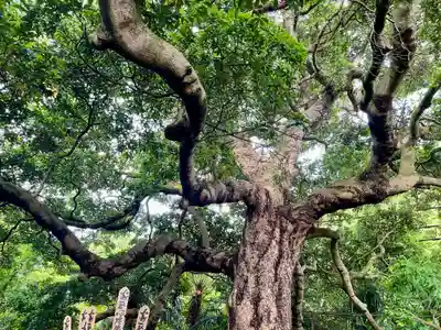 長生院(神奈川県)
