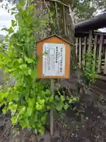 伊勢天照御祖神社(大石神社)(福岡県)