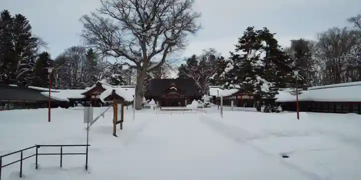 北海道護國神社の本殿・本堂