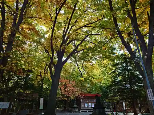 相馬神社(北海道)