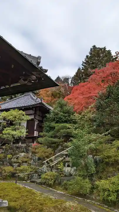 霊鑑寺門跡(京都府)
