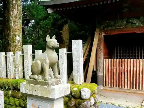 山住神社の狛犬