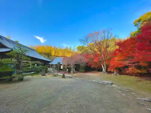 円光寺の建物その他