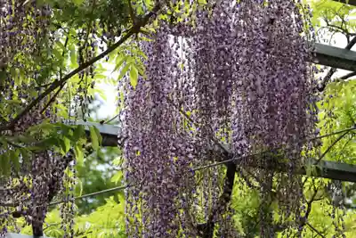 三大神社(滋賀県)