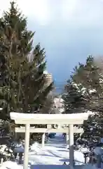 住吉神社の鳥居