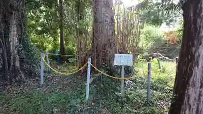火牟須比神社の自然