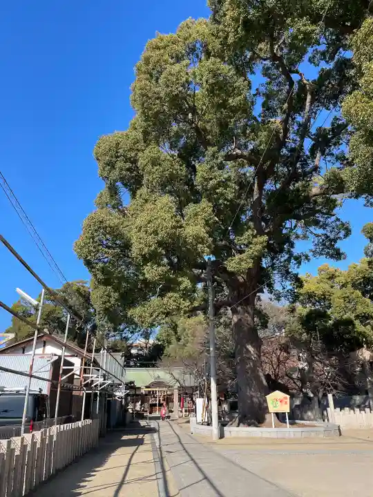 阿麻美許曽神社(大阪府)