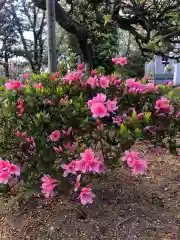 大生郷天満宮の庭園