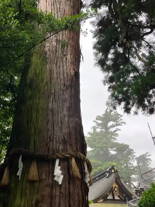 香取神宮(千葉県)