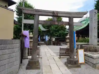 白髭神社(東京都)