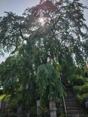龍光寺(福島県)