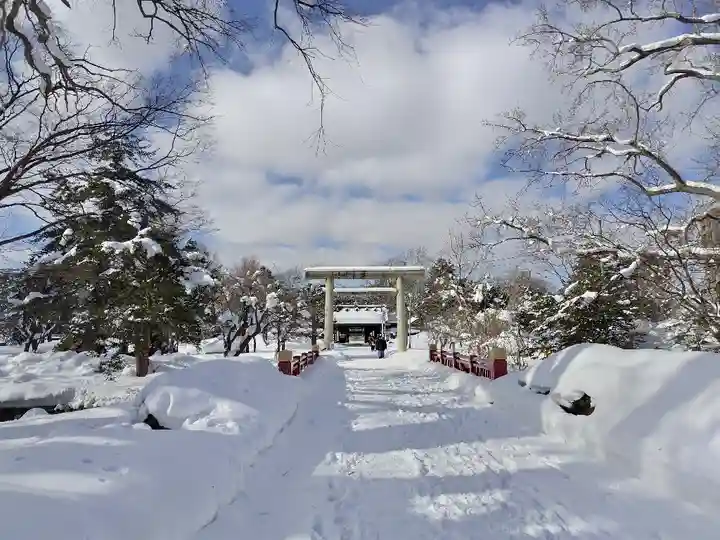 札幌護國神社の鳥居
