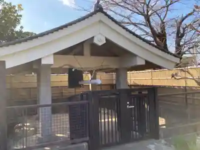 国分寺（相模國分寺）(神奈川県)
