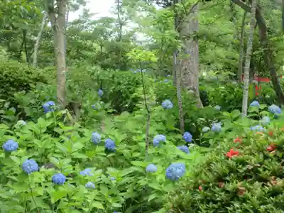 茨城縣護國神社(茨城県)