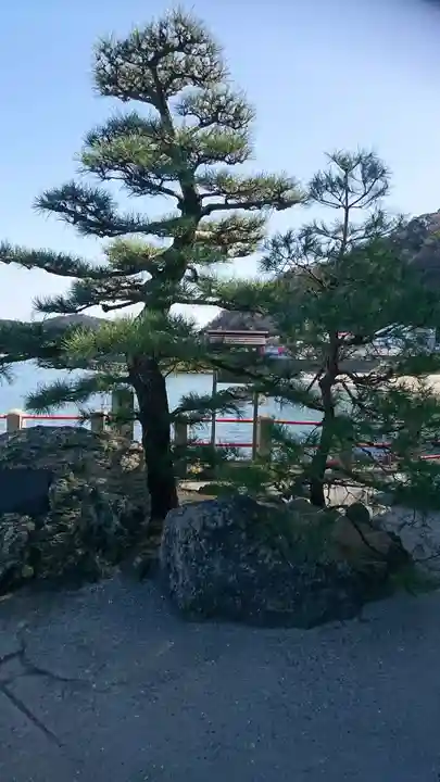 二見興玉神社の自然