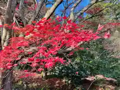 永源寺(滋賀県)