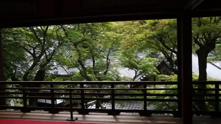 柳谷観音 楊谷寺(京都府)
