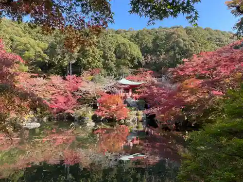 醍醐寺(京都府)