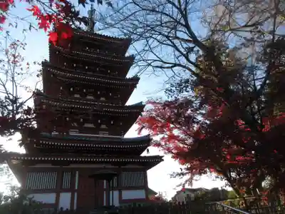 本土寺(千葉県)