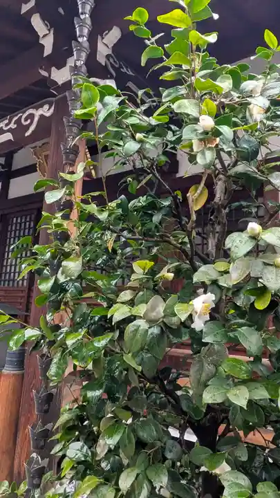 成道院(京都府)