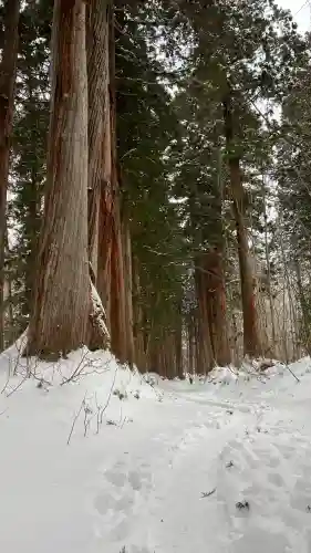 戸隠神社奥社の{uncategorized: "未分類", other: "その他", undefined: "問題あり", building: "その他建物", grave: "お墓", sacred_gate: "鳥居", guardian: "狛犬", statue: "像", buddha: "仏像", history: "歴史", nature: "自然", garden: "庭園", animal: "動物", pagoda: "塔", temizu: "手水舎", mountain_gate: "山門・神門", sanctuary: "本殿・本堂", subordinate: "末社・摂社", art: "芸術", scenery: "景色", jizo: "地蔵", ema: "絵馬", goshuin: "御朱印", omikuji: "おみくじ", items: "授与品その他", amulet: "お守り", goshuincho: "御朱印帳", eats: "食事", festival: "お祭り", votive_dance: "神楽", shichigosan: "七五三参", wedding: "結婚式", experience: "体験その他", initially: "初詣", around: "周辺", anti_infection: "感染症対策"}