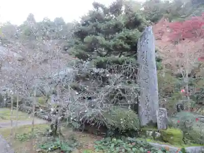 三角寺(愛媛県)