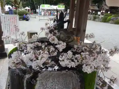 出雲大社相模分祠の手水舎