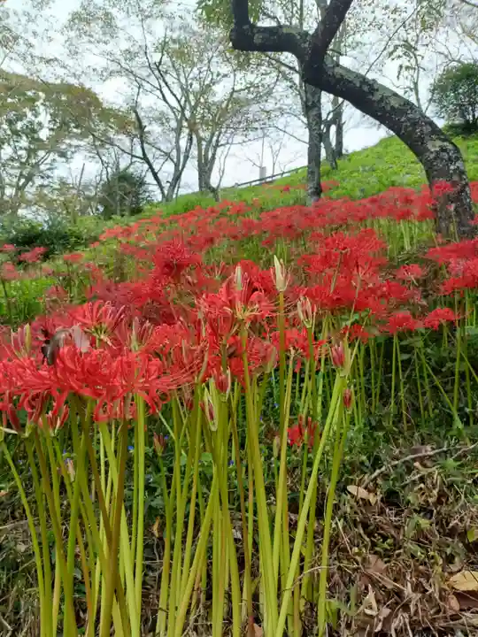 たばこ神社の自然