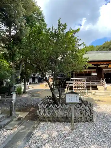 上地八幡宮の庭園