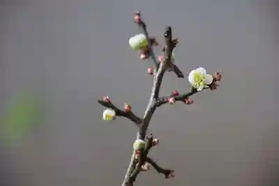 愛宕神社の手水舎