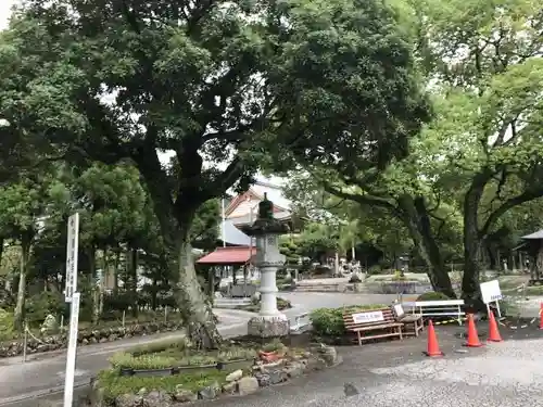 善楽寺の庭園