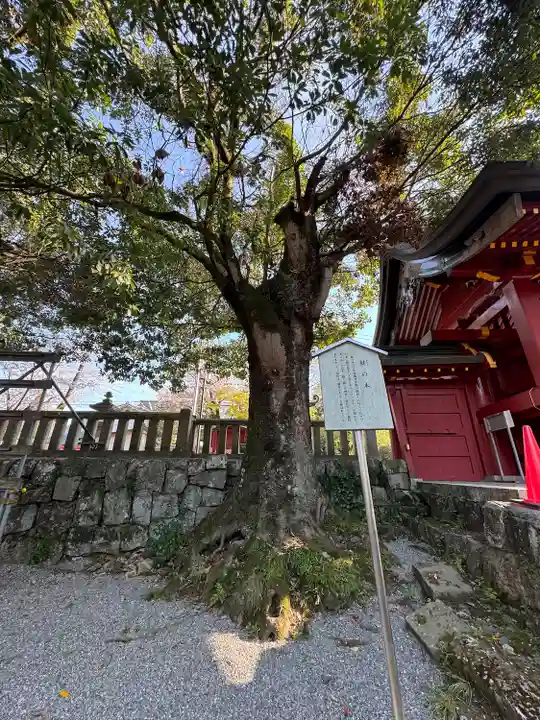 一之宮貫前神社(群馬県)