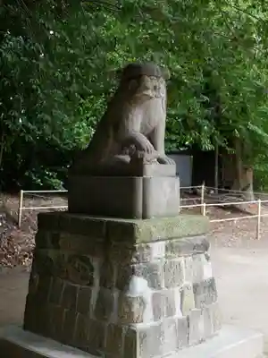 中山神社の狛犬