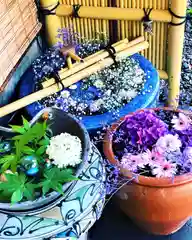 札幌護國神社の手水