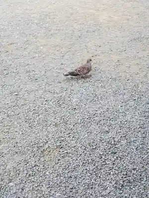 楽法寺（雨引観音）(茨城県)