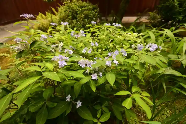 慈光院(奈良県)