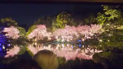 平安神宮の自然