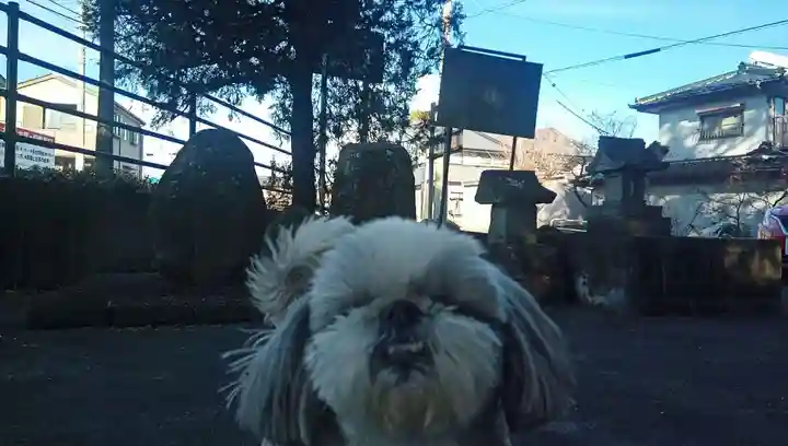 諏訪神社(山梨県)