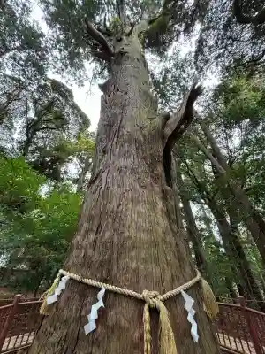 麻賀多神社の{uncategorized: "未分類", other: "その他", undefined: "問題あり", building: "その他建物", grave: "お墓", sacred_gate: "鳥居", guardian: "狛犬", statue: "像", buddha: "仏像", history: "歴史", nature: "自然", garden: "庭園", animal: "動物", pagoda: "塔", temizu: "手水舎", mountain_gate: "山門・神門", sanctuary: "本殿・本堂", subordinate: "末社・摂社", art: "芸術", scenery: "景色", jizo: "地蔵", ema: "絵馬", goshuin: "御朱印", omikuji: "おみくじ", items: "授与品その他", amulet: "お守り", goshuincho: "御朱印帳", eats: "食事", festival: "お祭り", votive_dance: "神楽", shichigosan: "七五三参", wedding: "結婚式", experience: "体験その他", initially: "初詣", around: "周辺", anti_infection: "感染症対策"}