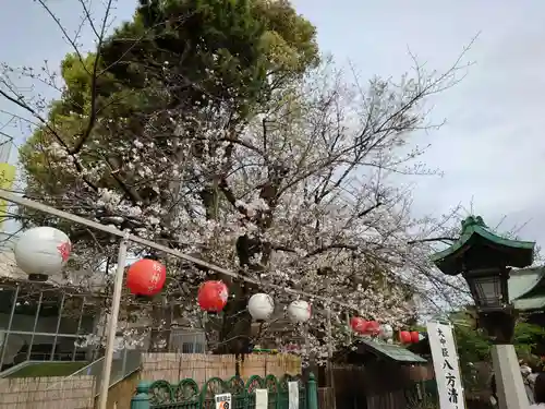 桜神宮(東京都)
