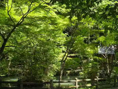 一乗寺(兵庫県)