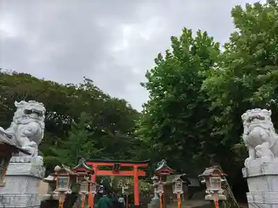 高山稲荷神社の狛犬