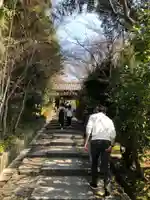高台寺(高台寿聖禅寺・高臺寺)(京都府)