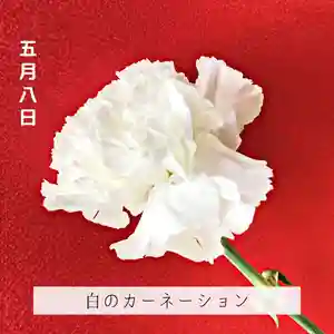 壽徳寺 じゅとくじ(福島県)(2022年05月08日(日) 12時35分21秒投稿)