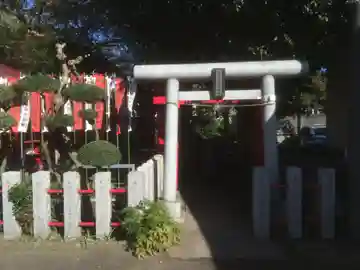 三本杉稲荷大明神の鳥居