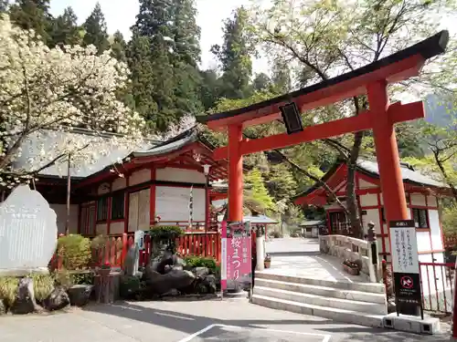 金櫻神社の鳥居