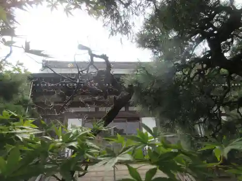 妙高院(神奈川県)