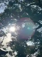 武蔵一宮氷川神社の自然