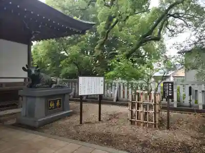 加納天満宮(岐阜県)